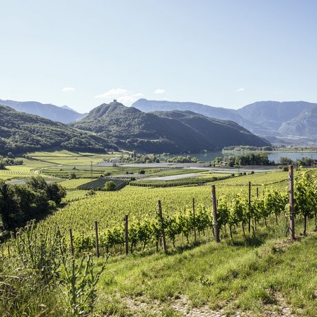 Impressionen Impressionen