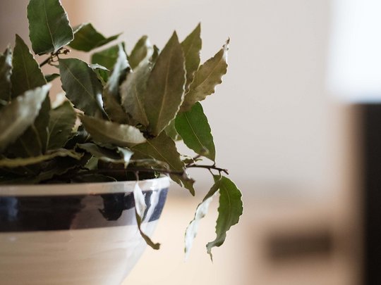 I vostri appartamenti romantici vicino Bolzano I vostri appartamenti romantici vicino Bolzano