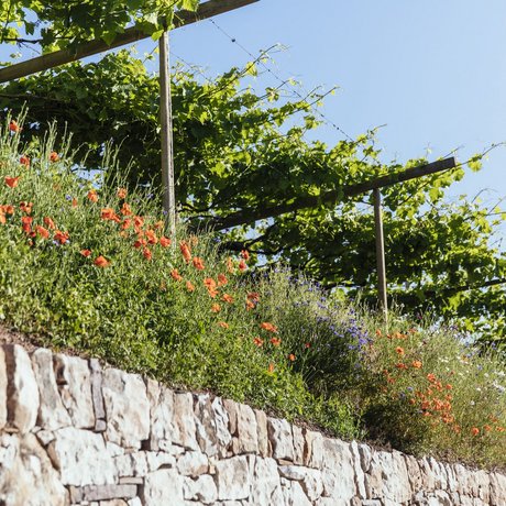 Impressionen Impressionen