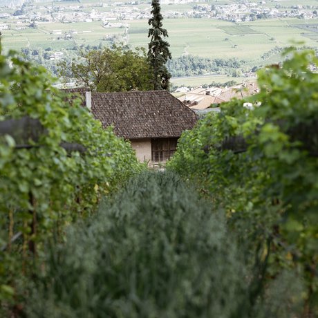 Impressionen Impressionen