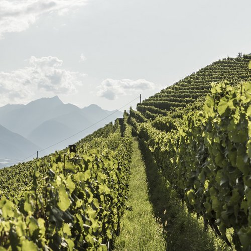 Südtirol Insider-Tipps für Aktive und Genießer Südtirol Insider-Tipps für Aktive und Genießer