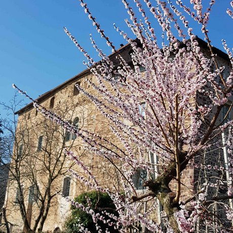 Impressionen Impressionen